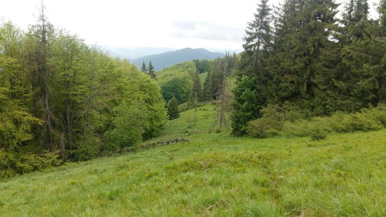 Лісовий Маєток Slavske Exteriér fotografie