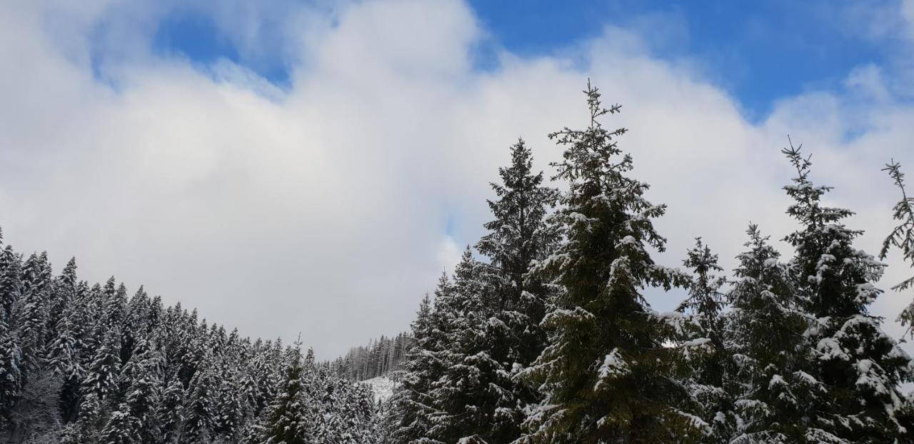 Лісовий Маєток Slavske Exteriér fotografie